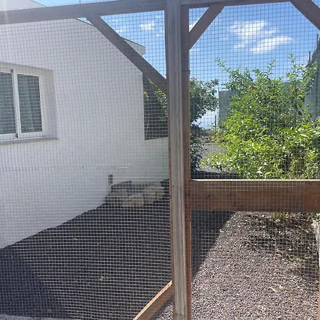 Casa Rosa Nature Escape Appartement San Miguel de Abona