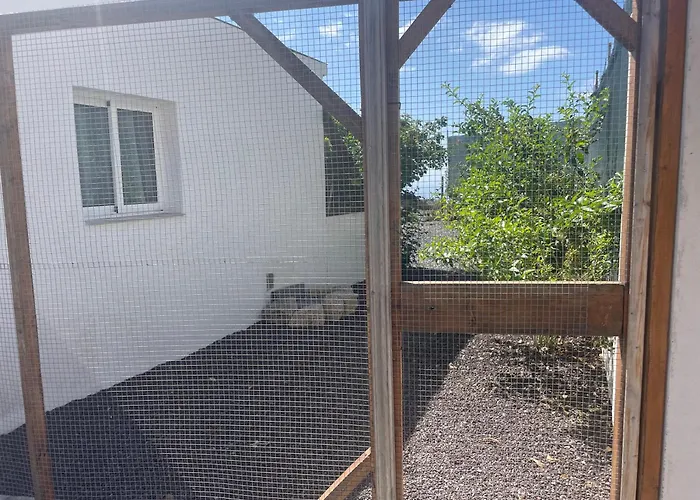 Casa Rosa Nature Escape Appartement San Miguel de Abona